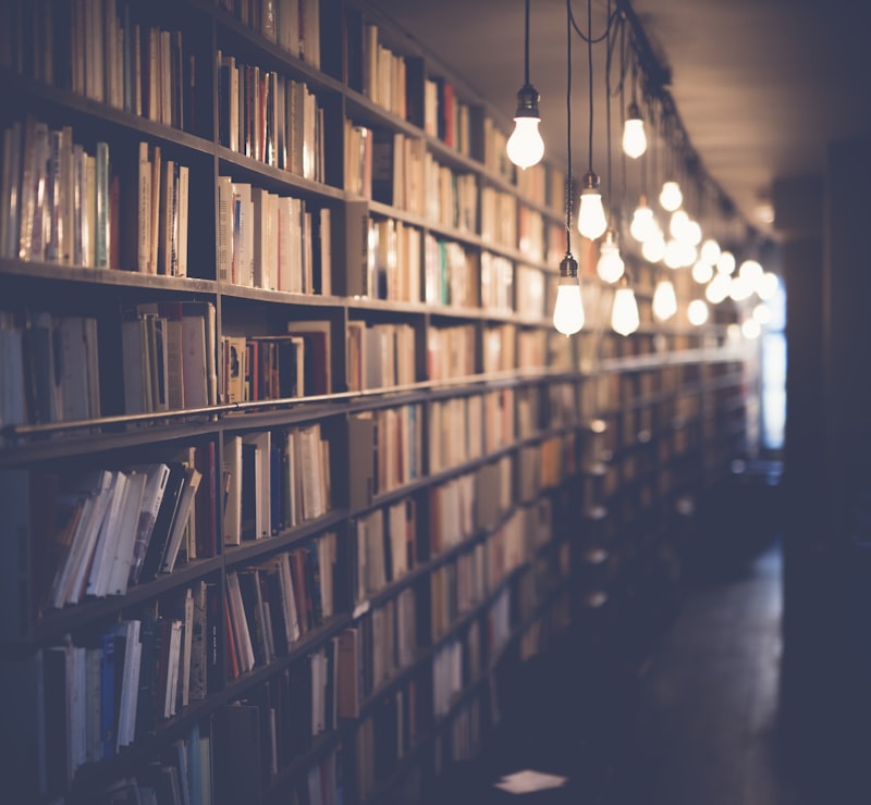 Library bookshelves with warm lighting